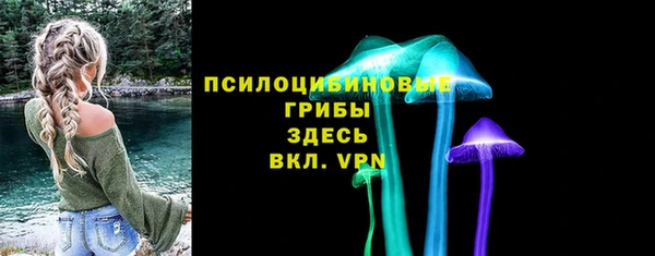 прущий лед Алзамай