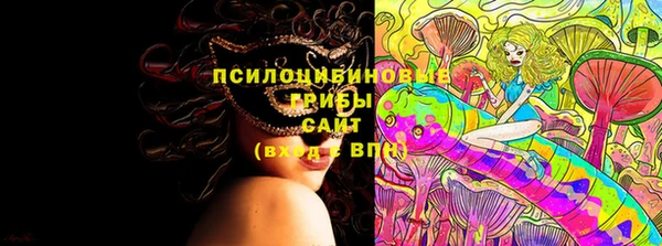дурь Алексин