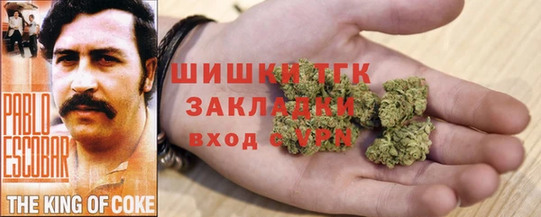 дурь Алексин