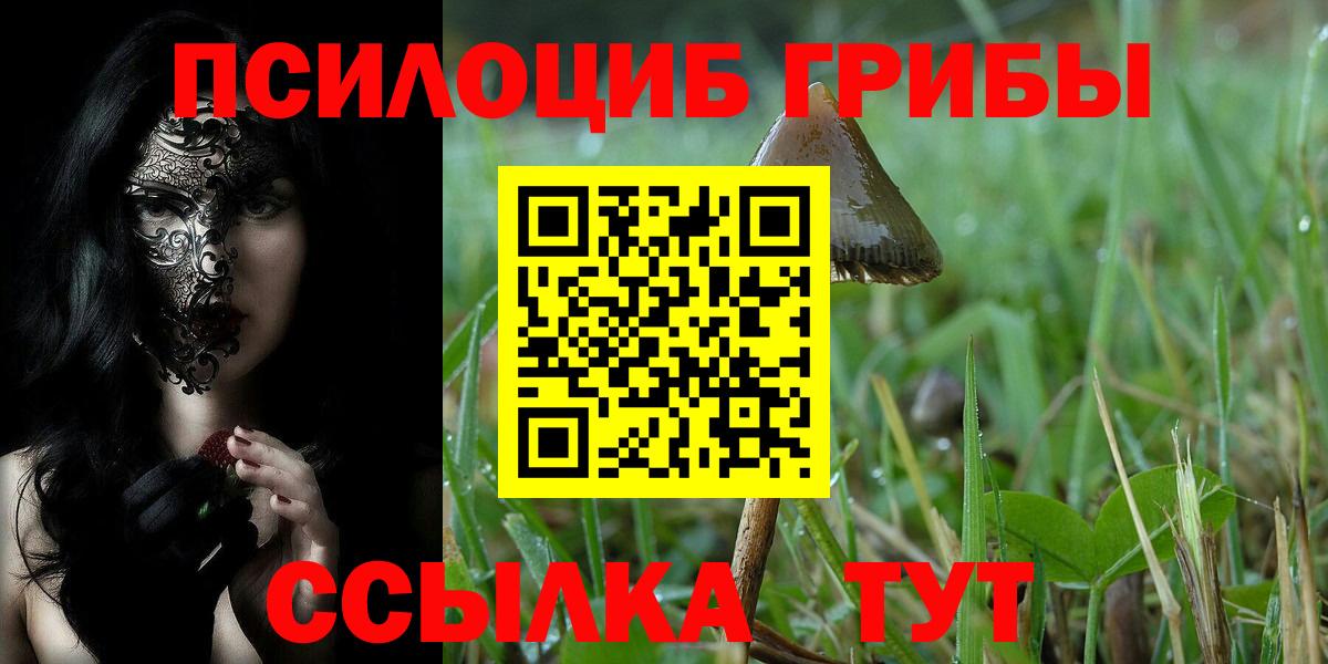 Михайловск  Псилоцибиновые грибы Psilocybe  Вход с VPN 